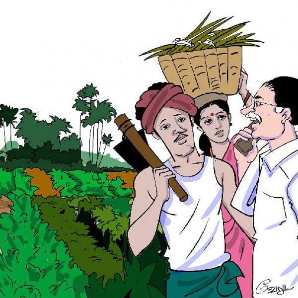 மரத்தடி மாநாடு: அதிகத் தானியம்... அதிகத் தட்டை! - ஆடிப்பட்டத்துக்கேற்ற கோ(எஸ்)-30 சோளம்