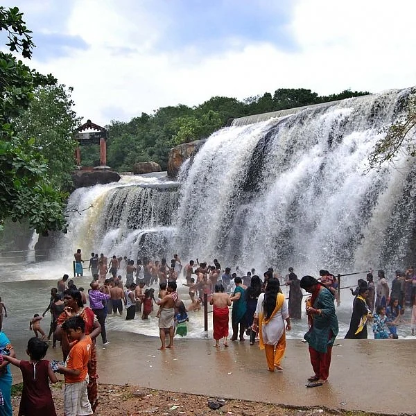 கொட்டும் திற்பரப்பு அருவி; பயணிகள் மகிழ்ச்சி | The stream of water is  pushing