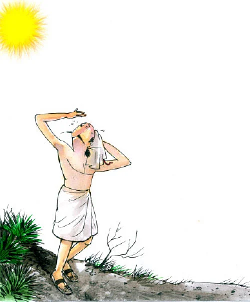 மண்புழு மன்னாரு
