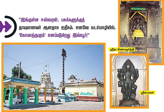 தேவாரத் திருவுலா!