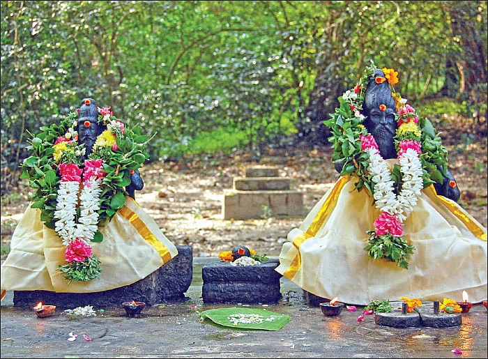 சித்தர்கள் போற்றும் அத்ரி மலை