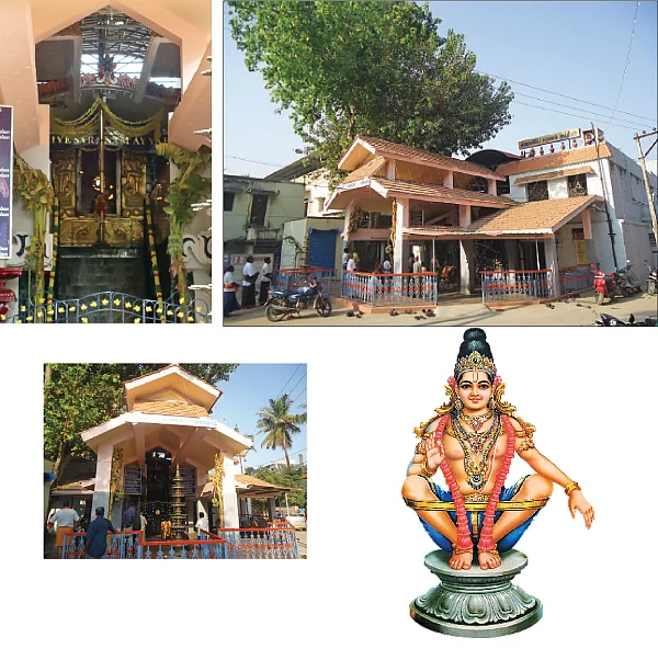 நோய் தீர்க்கும் மருத்துவன்!