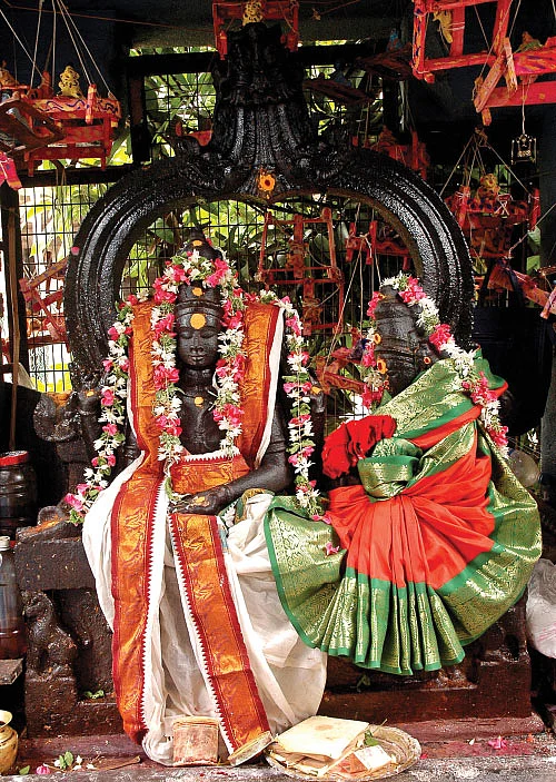 சக்தி தரிசனம் - மணவாழ்க்கை அருளும் மாவடி தரிசனம்!