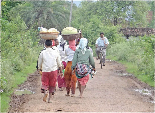 சத்தீஸ்கர் மாநிலத்தில் மலரும் இயற்கை விவசாயம்!