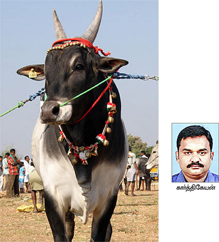 நீங்கள் கேட்டவை - ஈரப்பத விதை நெல்... எளிதாகக் கண்டறிவது எப்படி?