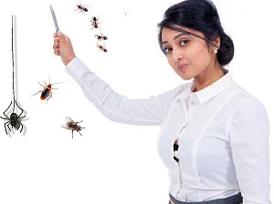 இயற்கையிலேயே இருக்கின்றன... இனிதான தீர்வுகள்!
