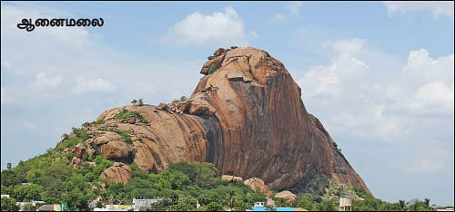 தமிழகம் இன்ஃபோ ஸ்பெஷல் #4 - மதுரை 200 - இன்ஃபோ புக்