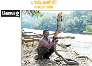 கலைடாஸ்கோப் - 17