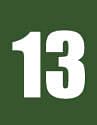 மனம் கொத்திப் பறவை! - 13