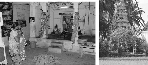மாணவர்களுக்கு அருளும் மாணிக்கவாசகர்!