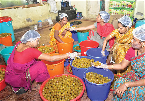 கொஞ்சம் ப்ளஸ்... நிறைய லாபம்! - தேனில் இன்னும் சில பொருள்கள்! - 13