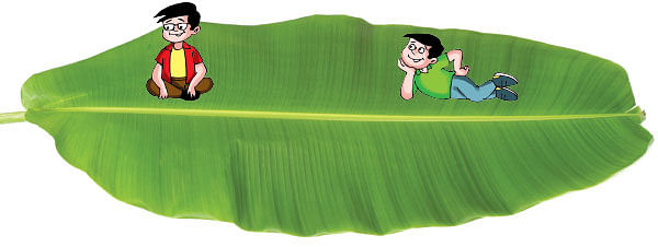 மாயா டீச்சரின் மந்திரக் கம்பளம்!