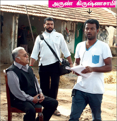குதிரையோடு விளையாடு!