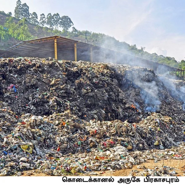 கொடைக்கானல் போறீங்களா? - குப்பைத் தொட்டியாக வரவேற்கும் மலைகளின் இளவரசி!