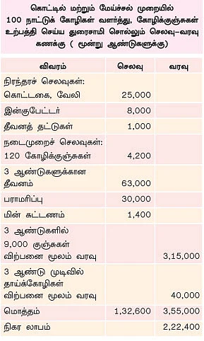 நல்வழி காட்டும் நாட்டுக்கோழி வளர்ப்பு...