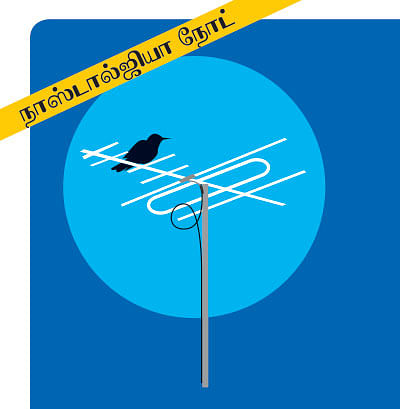 கலைடாஸ்கோப் - 13