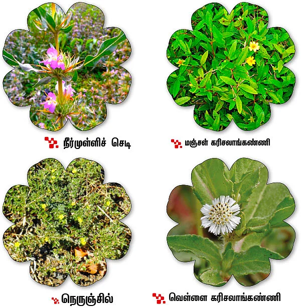 ஆறாம் திணை - 76