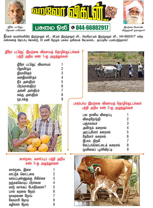 பசுமை ஒலி!