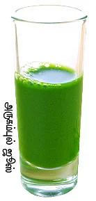 மூலிகை வனம்