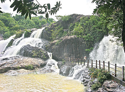 தமிழ் முனிவர் அருளிய தனிப்பெருங்கொடை...