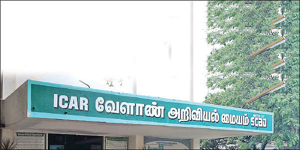 பலவிதப் பயிற்சிகள்... வங்கிக் கடனுதவி... விவசாயிகளுக்கு வழிகாட்டும் ‘மானாவாரி’ கே.வி.கே!
