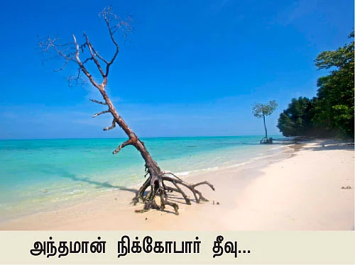 ஓர் ஊர்சுற்றியின் சாலைக் குறிப்புகள்!