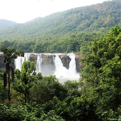 மைடியர் ஜீபா!