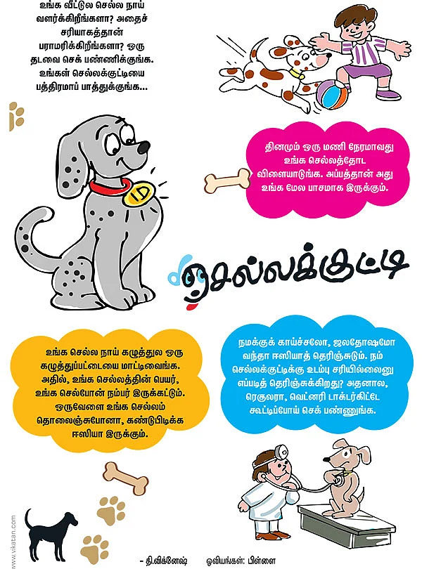 செல்லக்குட்டி!