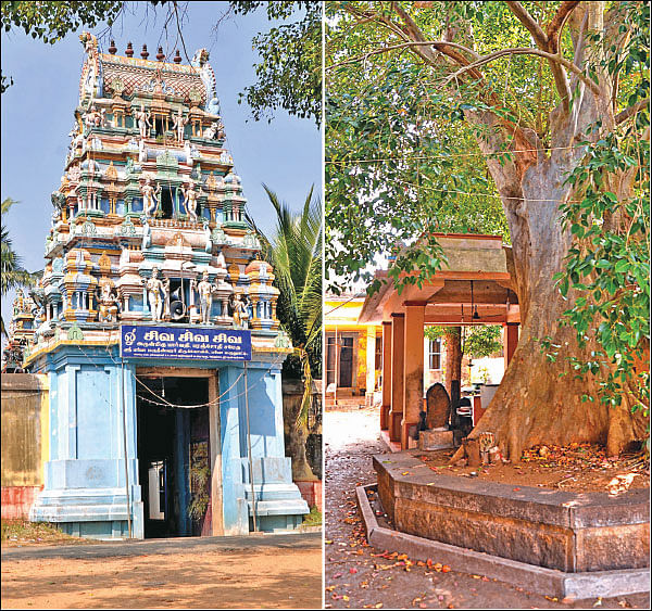 குறை தீர்க்கும் கோயில்கள் - 18 - ‘மூன்றாம் காலத்தில் மூலிகைச்சாறு!’