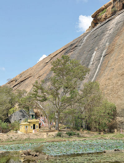 அரங்கனை மார்பில் தாங்கிய பிள்ளை லோகாச்சாரியார்