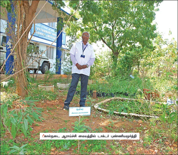 புத்துயிர் பெற்ற கால்நடை மூலிகை மருத்துவம்