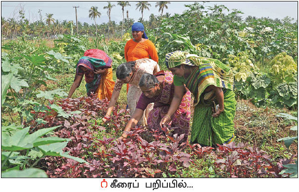 ஒரு நாள் விவசாயி! பருவம் - 2 - அசத்தலான இயற்கைப் பண்ணை!