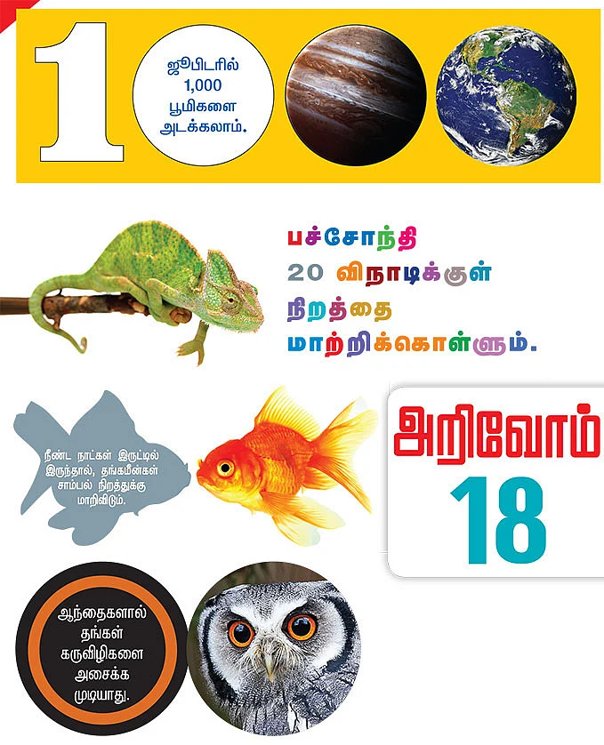 அறிவோம் 18