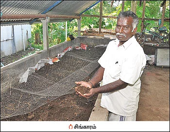பரம்பராகட் கிரிஷி... ரூ.7 லட்சம் மானியம் - இயற்கை விவசாயத்துக்கு ஓர் இனிய திட்டம்!