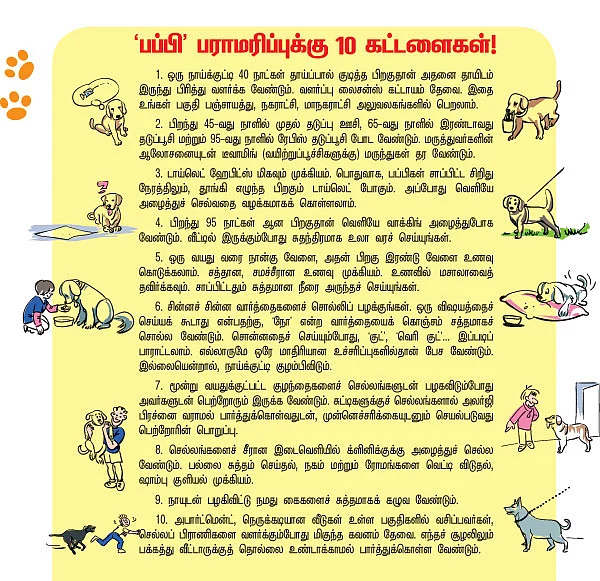 செல்லம் வளர்க்கலாம் உள்ளம் மகிழலாம் !