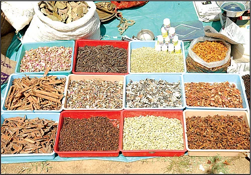 படுசல்லிசு விலையில் பலசரக்குத் திருவிழா!