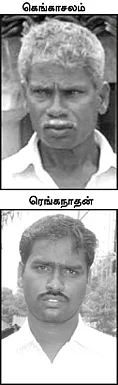 கால்கள் விரைத்துச் சாகும் பசுக்கள்!