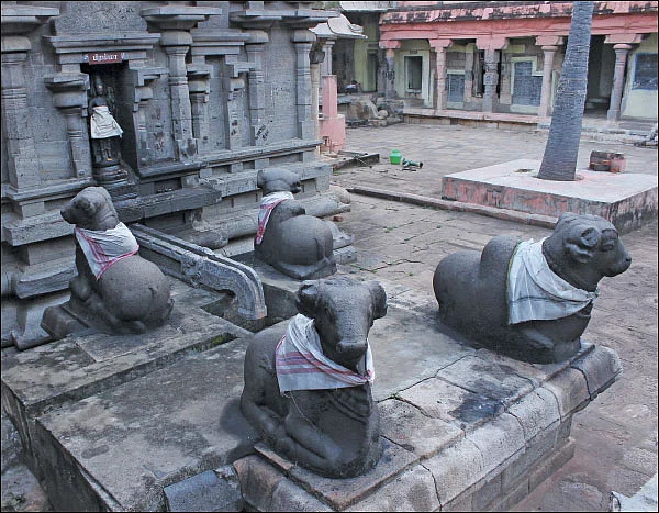 தோஷங்கள் தீர்க்கும் நவகிரகக் குழிகள்!