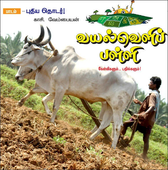 வயல்வெளிப் பள்ளி