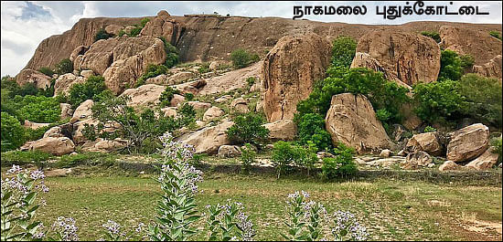 தமிழகம் இன்ஃபோ ஸ்பெஷல் #4 - மதுரை 200 - இன்ஃபோ புக்