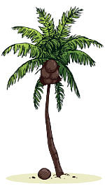 கதை கேளு... கதை கேளு!