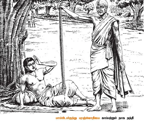 சிவகாமியின் சபதம் !