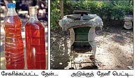 தேன் மழை பொழியுது...தென்னை மகசூல் கூடுது...