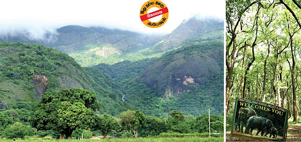 கோடைக்கு ஏற்ற கோவை குற்றாலம்!