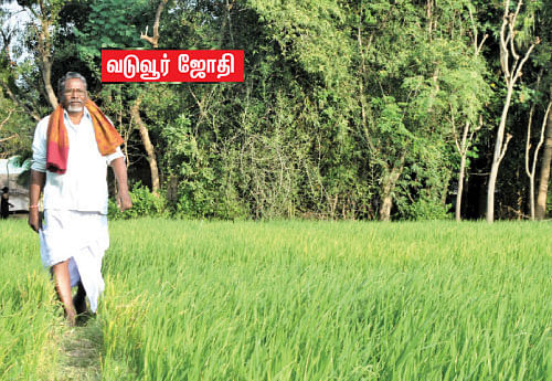 நான் குஸ்தி வாத்தியார் !