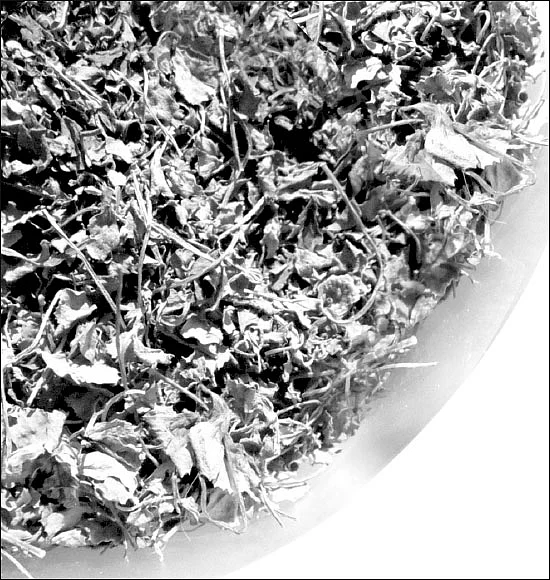 சசிகலா ஜாதகம் - 25 - ‘‘கஞ்சா வழக்குக்கு காரணம் சசிகலா!’’