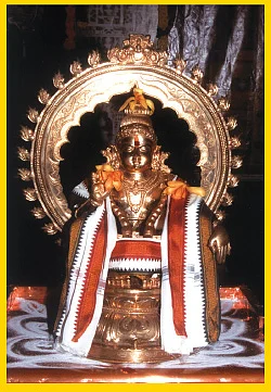 விழாக்கள்