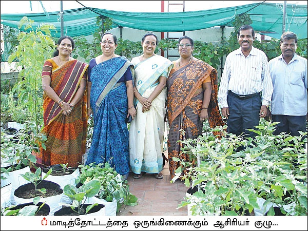 மாடியில் தோட்டம்... மணம் பரப்பும் காய்கறிகள்!