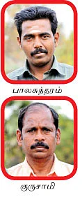 மான்களும் நாங்களும் !