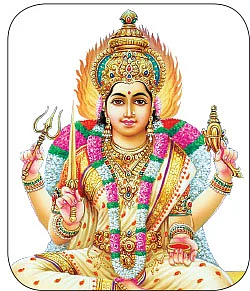 2017 புத்தாண்டு ராசிபலன்கள் - எளிய பரிகாரங்களுடன்!